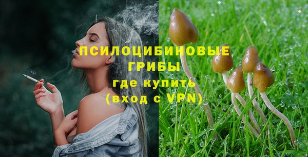 гашик Волоколамск