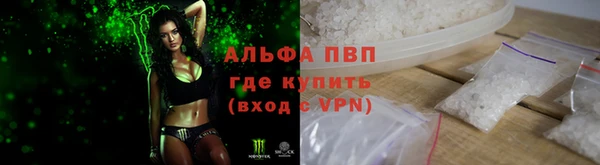 СК Волосово