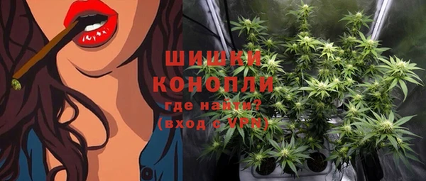 СК Волосово