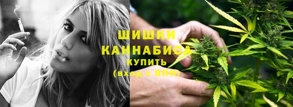 СК Волосово
