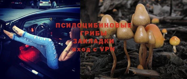 СК Волосово