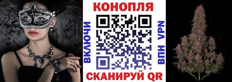 Каннабис семена  как найти   Севастополь 